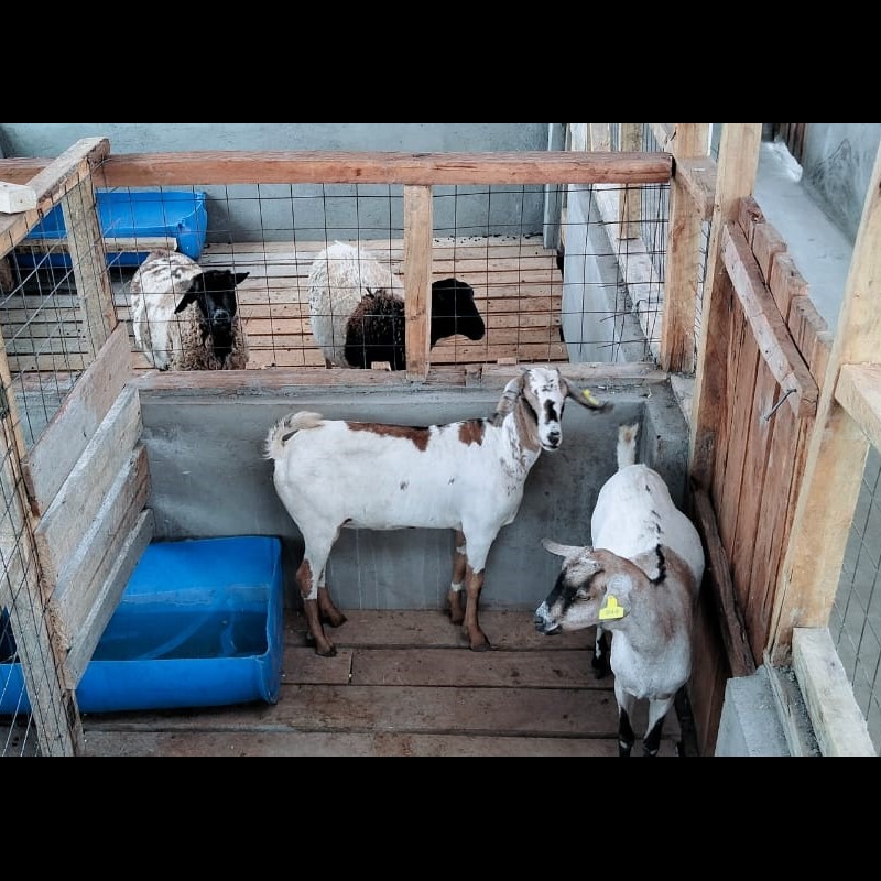 Visiontech%20Ventures